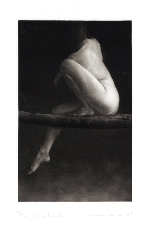 MIKIO WATANABE, (Japanese, born 1954), Sur la Branche,: MIKIO WATANABE (Japanese, born 1954) Sur la Branche, 1999 Mezzotint, ed. 87/90 Signed lower left 9½ x 6 inches (24.1 x 15.2 cm).