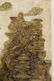 A CHINESE STYLE PLASTER WALL SCULPTURE BY HAROLD - 3