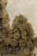 A CHINESE STYLE PLASTER WALL SCULPTURE BY HAROLD - 4