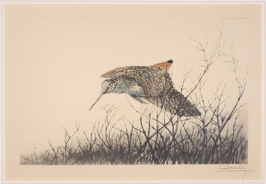 LEON DANCHIN, (French, 1887-1939), Woodcock in Flight,: LEON DANCHIN (French, 1887-1939) Woodcock in Flight Etching Signed lower right H 18 x W 26 inches.