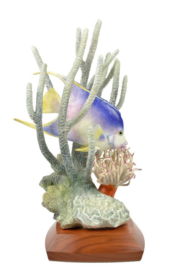 A ROYAL WORCESTER PORCELAIN FIGURE: A ROYAL WORCESTER PORCELAIN FIGURE Blue Angel Fish, No. 158, designed and modeled by R. Van Ruyckevelt, depicting an angel fish swimming amongst coral, raised on a shaped oak base. H 12¼ x W 5¼ x D