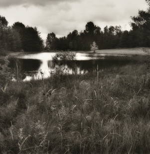 SALLY GALL, (American, born 1956), Pond, 1980, Gelatin: SALLY GALL (American, born 1956) Pond, 1980 Gelatin silver print, ed. 2/20 H 19 x W 18½ inches.