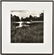 SALLY GALL, (American, born 1956), Pond, 1980, Gelatin - 2