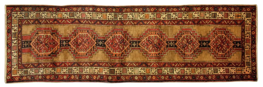 A SARAB RUNNER (1 of 2)