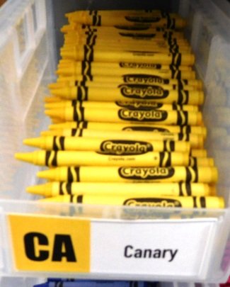 Cases New Crayola Crayons (1 of 1)