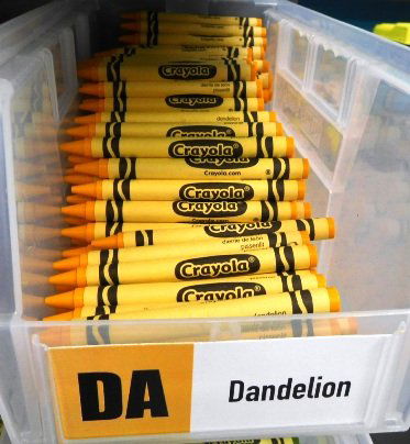 Cases New Crayola Crayons (1 of 1)