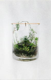 Wawi Navarroza (b.1979): b.) TERRARIUM no. III, 2013 Archival Pigment Ink On Hahnemüehle Photo Edition 2 of 5 30” x 20” (76 cm x 51 cm) Provenance: Museum of Contemporary Art and Design (MCAD) Manila