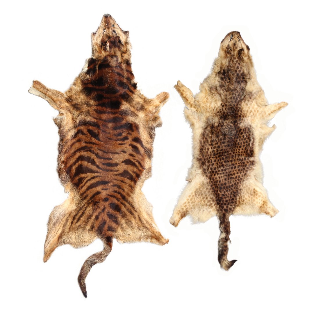 Two Fur Rugs (1 of 1)