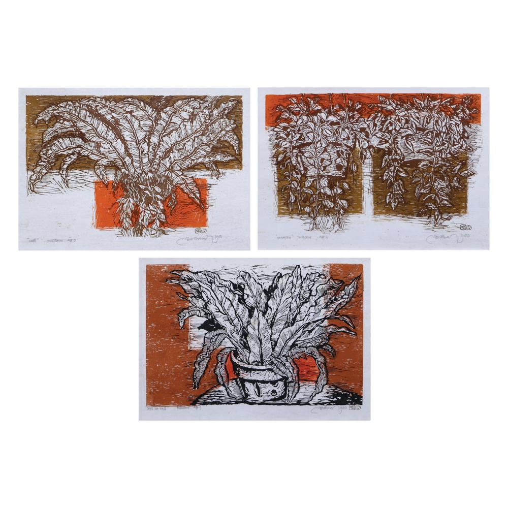 Mario Parial (1944 - 2013) (1 of 1)