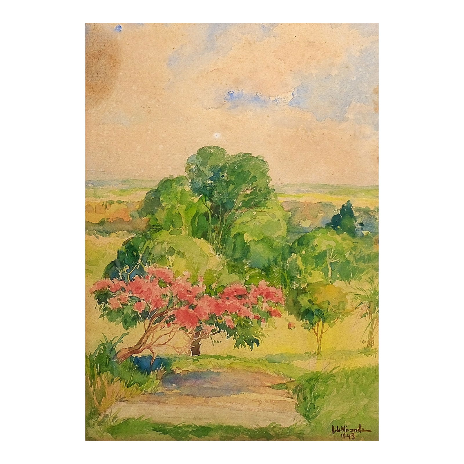 Irineo Miranda (1896 - 1964) (1 of 1)