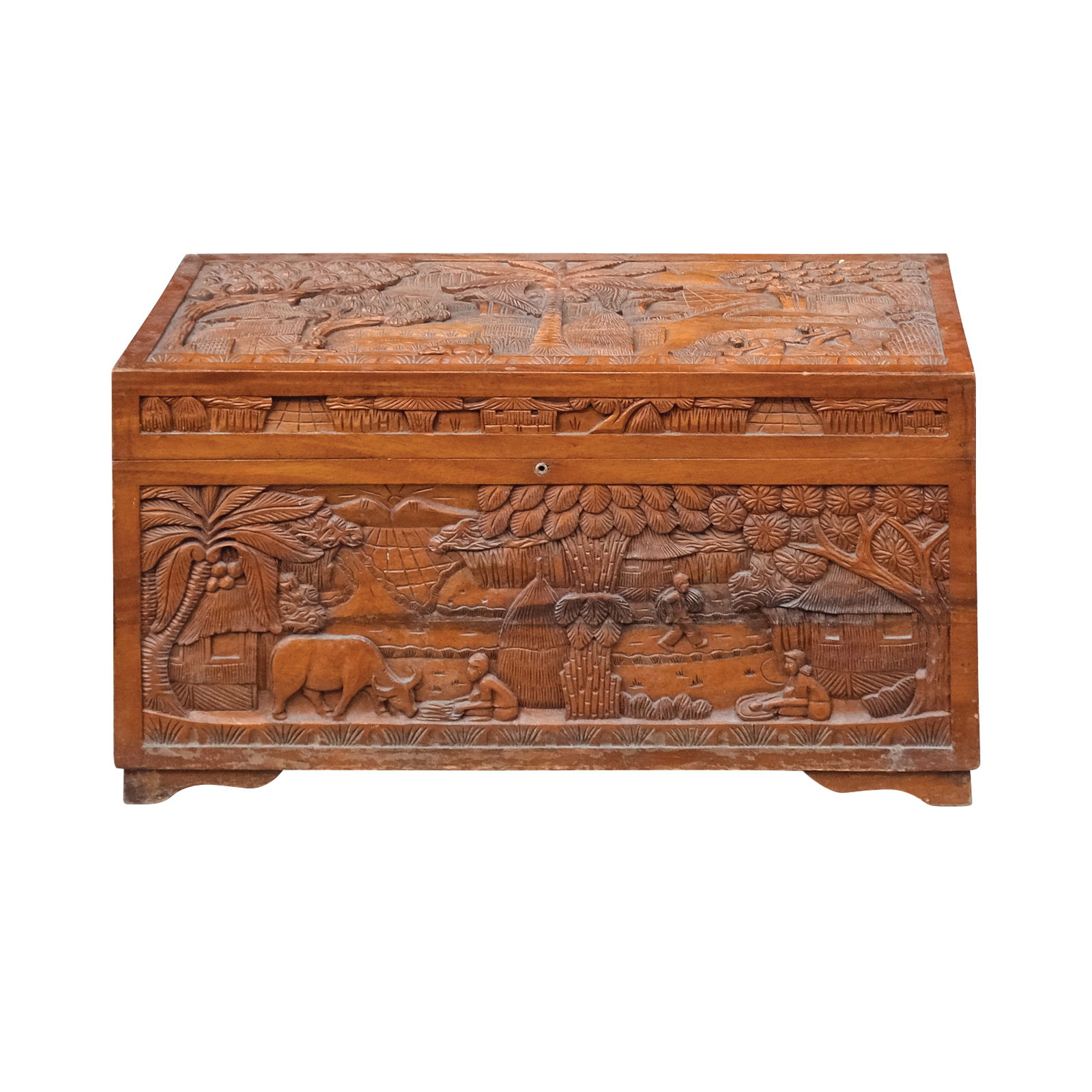 A Camphor Chest (1 of 1)