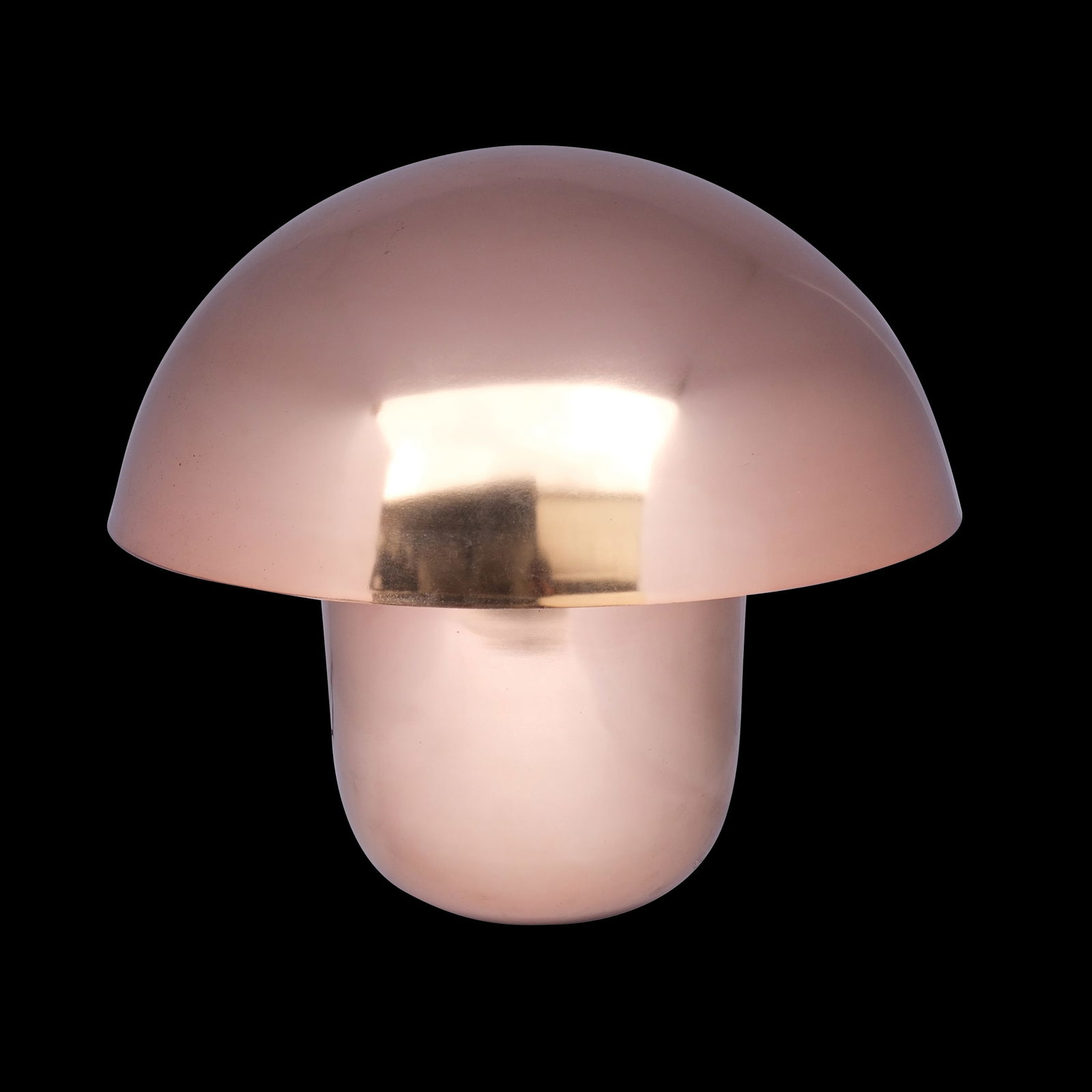 A Kare Design Mushroom Lamp (1 of 1)