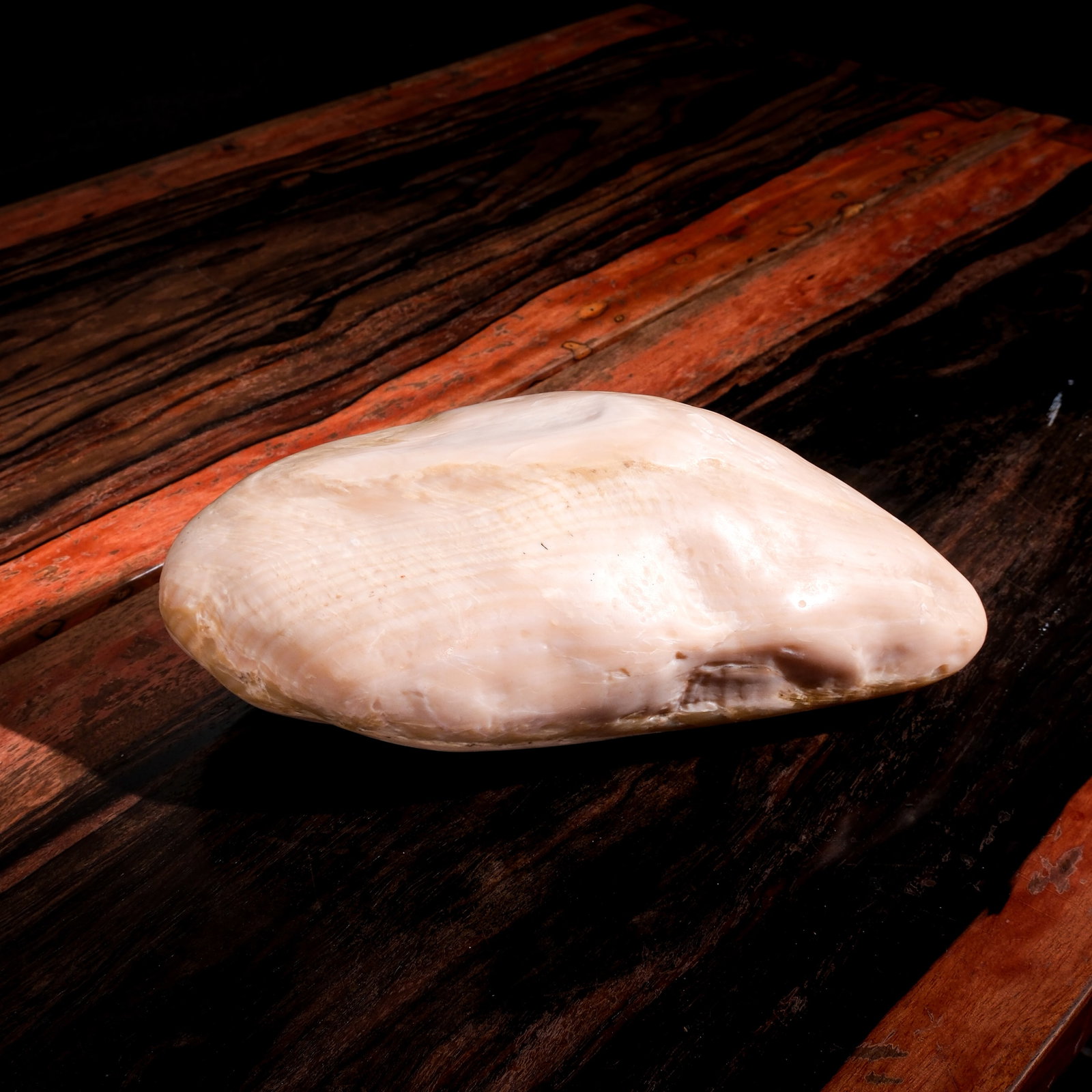 Tridacna Gigas Clam Concretion or Clam Pearl: Size: H: 4” (10 cm)W: 4 3/4” (12 cm)L: 10” (25 cm)Weight: 4.3kgAccompanied by certificates issued by Earth MaterialsScience Laboratories and Badar Jewelry Trading confirmingthe compo