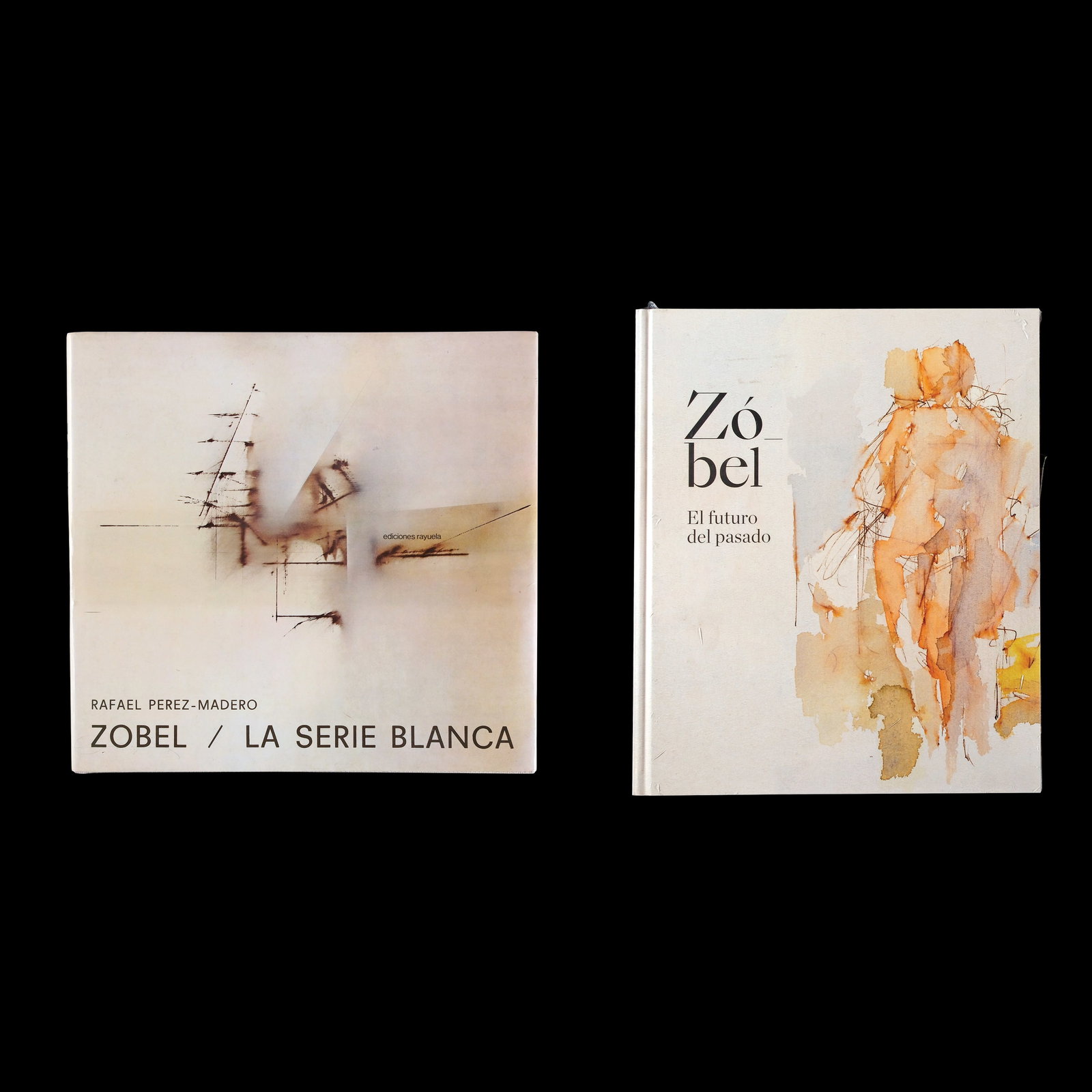 Two Books on Fernando Zobel Art (1 of 1)