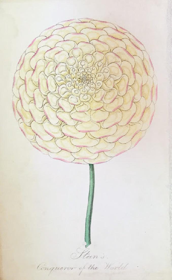 19th Century Engraving, SteinÂ´s Conqueror of the World (1 of 1)