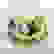 item-56356515=5