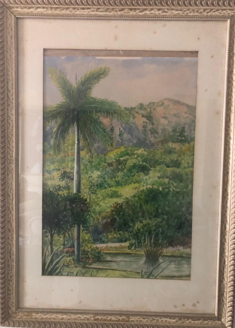 Gumersindo Barea ( cuban art): Gumersindo Barea ( cuban art) beautiful Cuban landscape, watercolor and cardboard,measures 19x13 inches