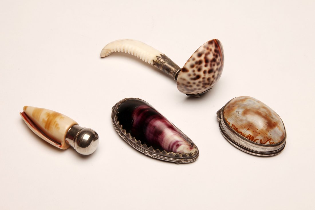 Antique Cowry and Sea Shell Objects (1 of 2)