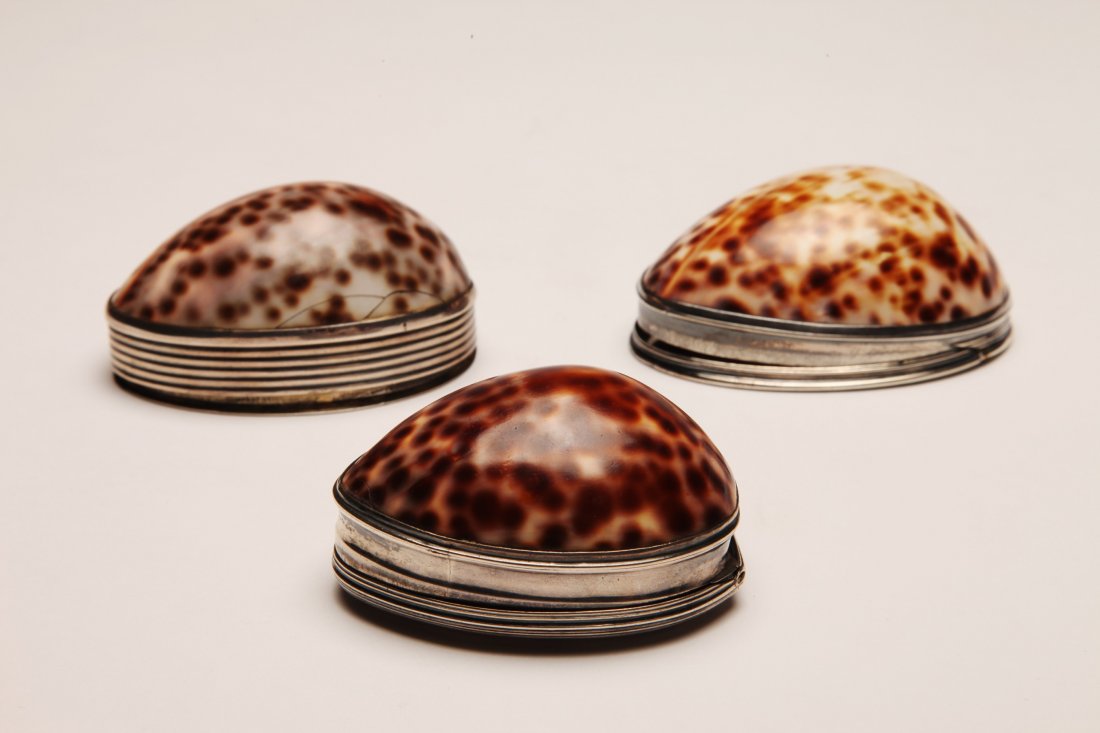 Group of 3 Cowrie Shell Silver Snuff Boxes (1 of 8)