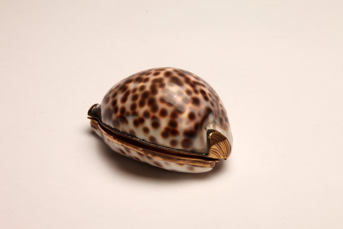 Large Tiger Cowrie Metal Mounted Snuff Box (1 of 4)