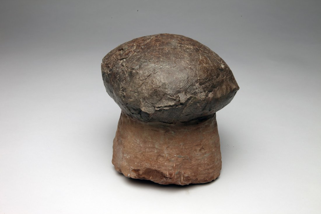 Fossil Dinosaur Egg (1 of 2)