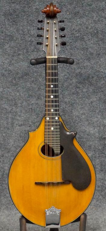 Lyon and Healy Professional Mandolin (1 of 7)