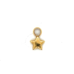 14k Gold Star Charm