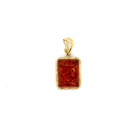 14k Gold Amber Pendant/Enhancer