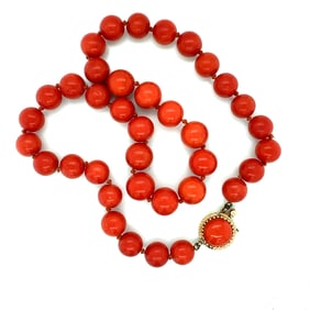 *Spiny Oyster/Coral Beaded Necklace