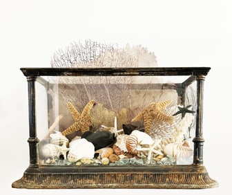 Victorian Cast Iron Terrarium with Arrangement of Sea Shells & Coral