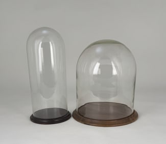 Two Glass Cloche Dome Displays
