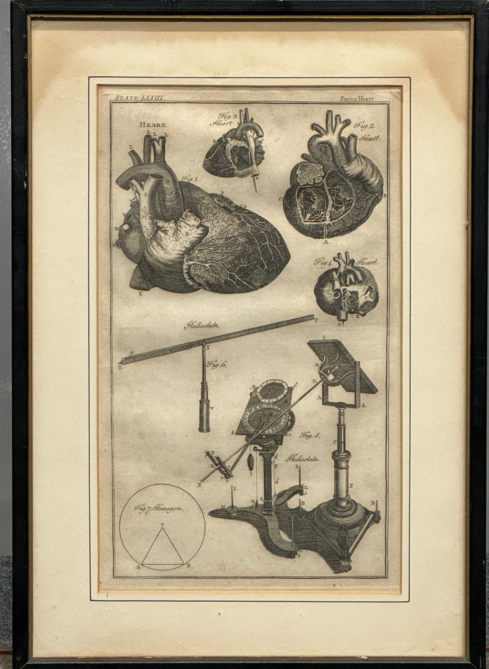 Anatomical Engraving by Thomas Jeffreys, Facing Heart (1 of 4)