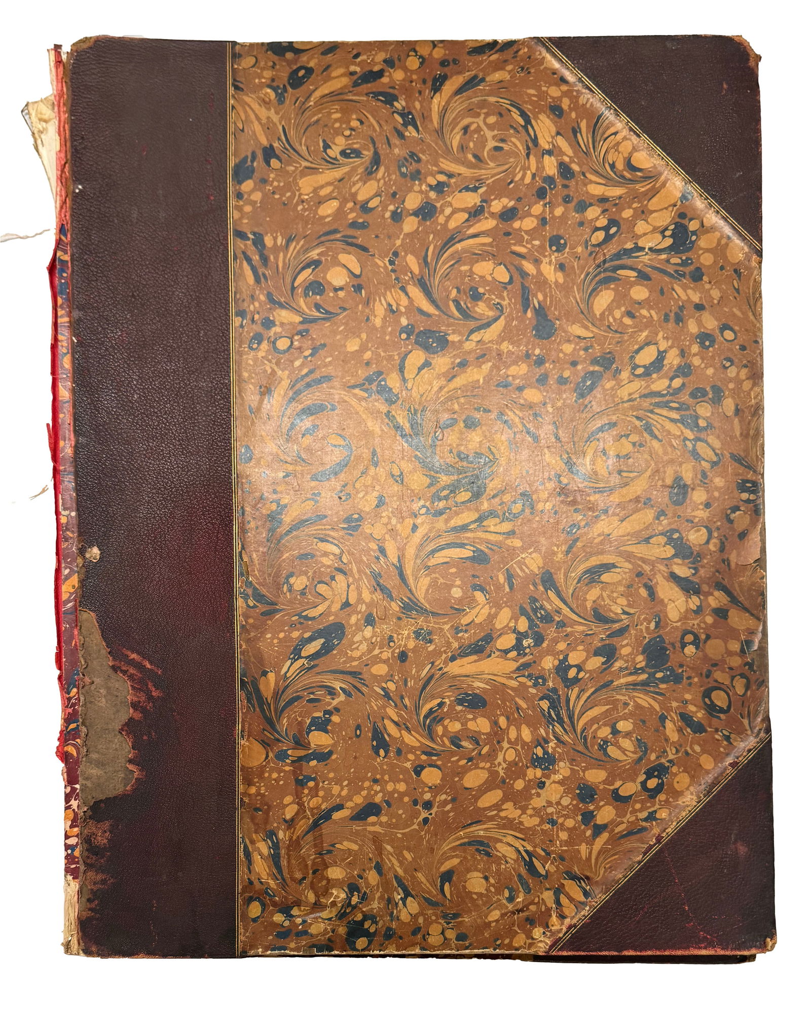 Haité (George Charles), Plant Studies for Artists, Designers, And Art Students, 1886, The Original (1 of 12)