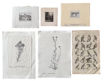 Six Prints & Works on Paper