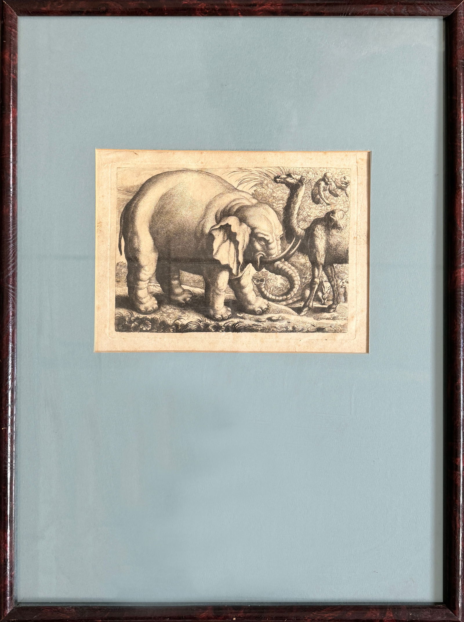 Wenceslaus Hollar, Elephant and Camel, Reverse Copy (1 of 3)