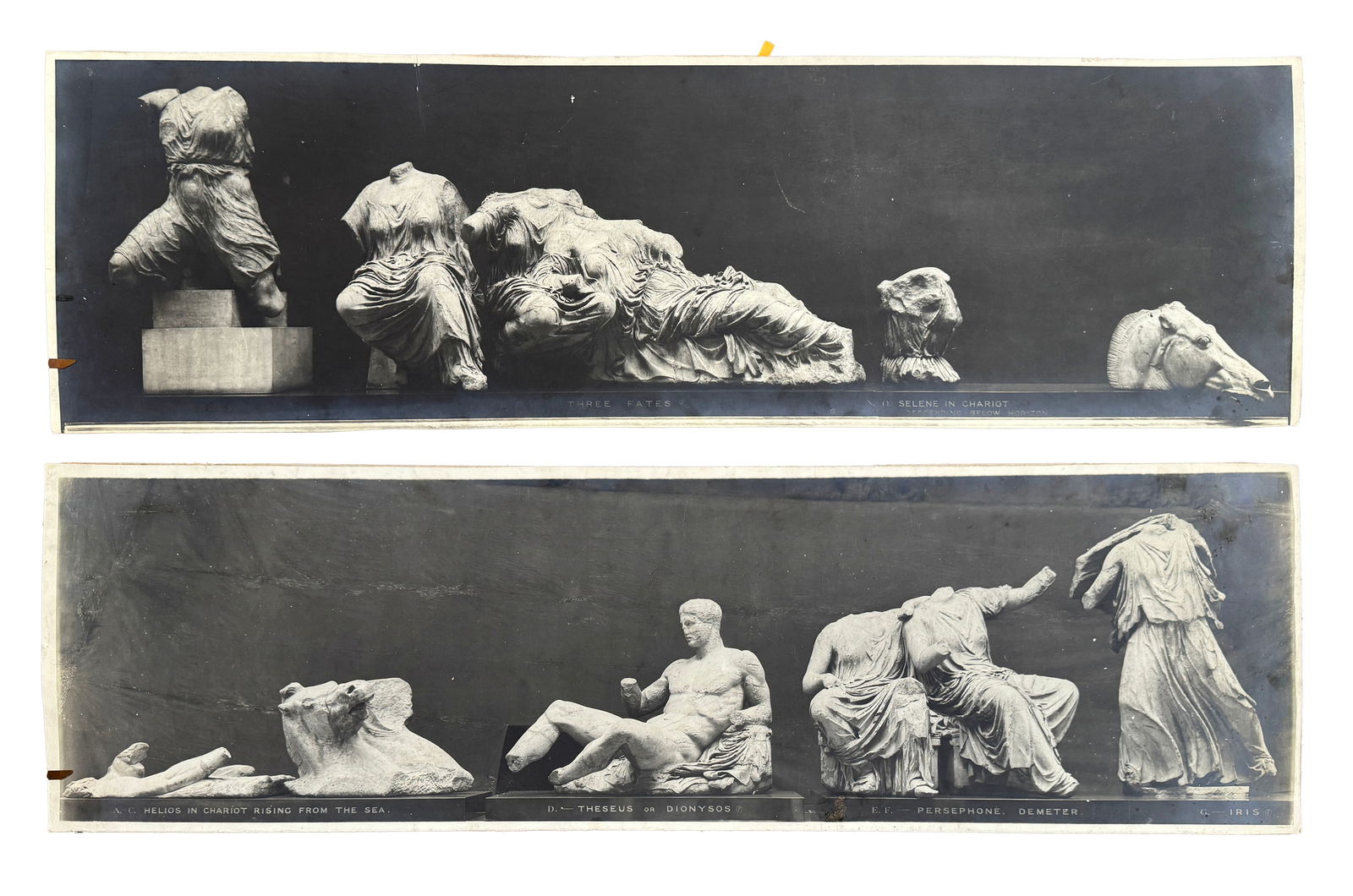 13 Photographic Prints for the Fogg Art Museum: Largest Dimensions: 38"x26" (photo of "Madonna Enthroned" by Giovanni Bellini) various sizes