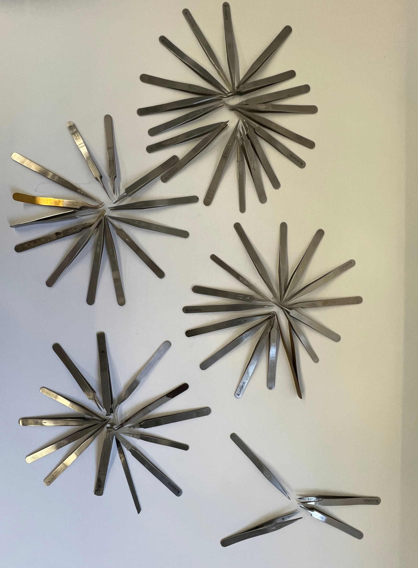 Large Lot of Dumont Inox Tweezers: A large collection of Dumont tweezers in various styles and sizes. Marked 'Dumont' and 'Inox'. Suitable for watchmaking, jewelry, or other precision tasks.