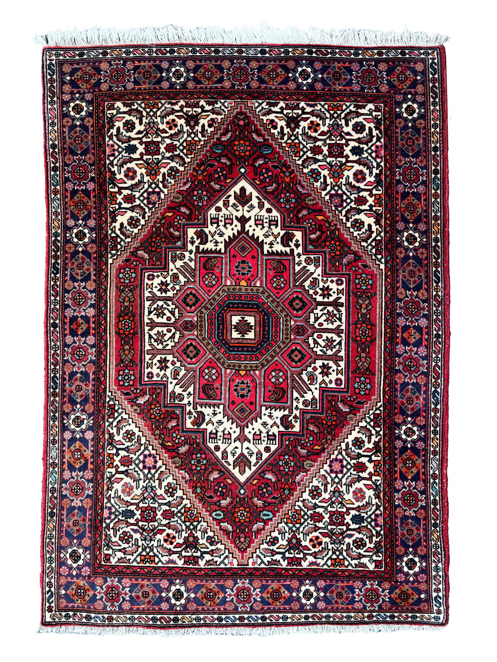 Bidjar Rug (1 of 5)