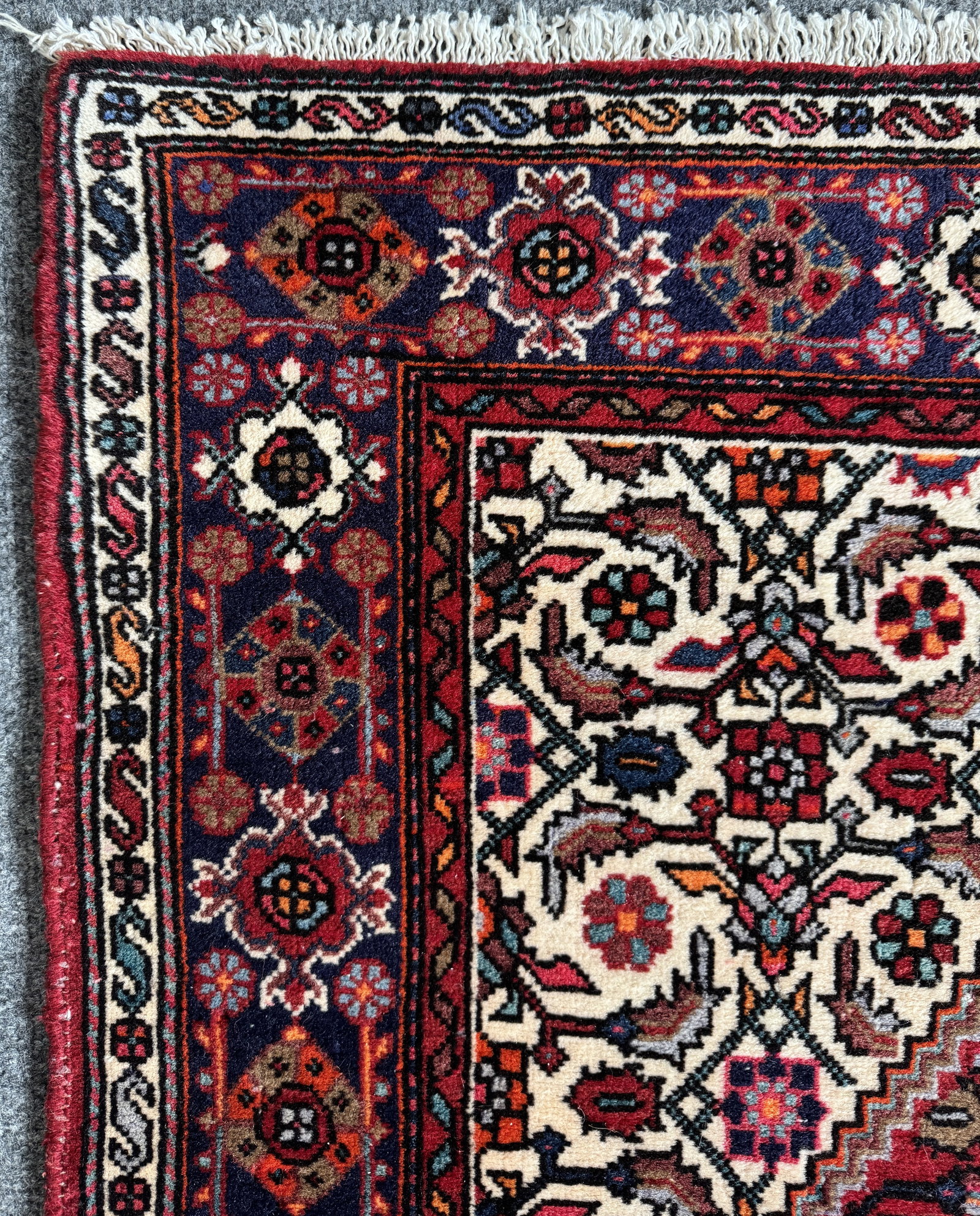 Bidjar Rug - 2