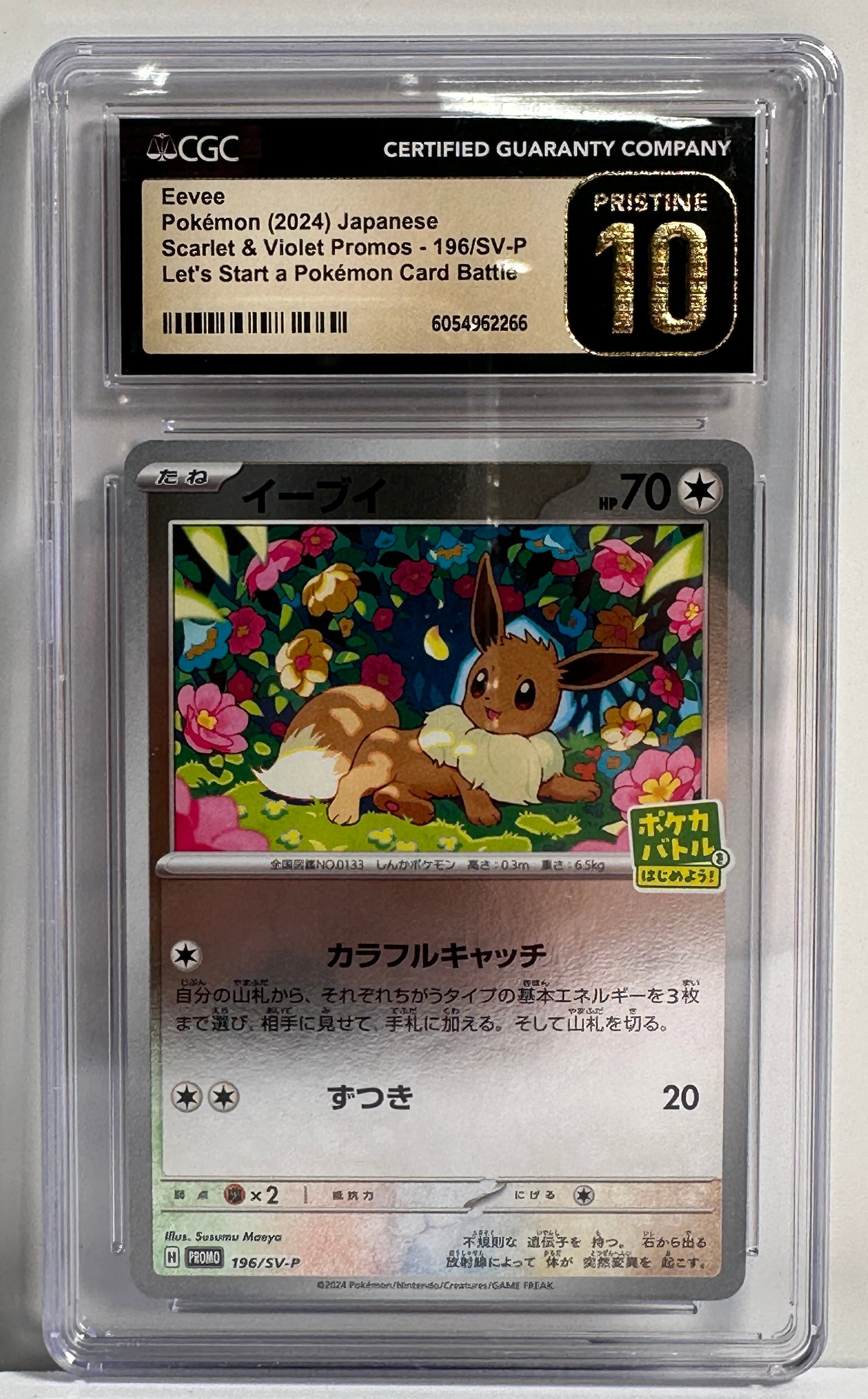 CGC Pristine 10 Graded 2024 Japanese Pokemon Scarlet & Violet Eevee Card: This is a graded 2024 Japanese Pokemon Scarlet & Violet Eevee card, graded Pristine 10 by CGC. Size: 5'' x 3''. 