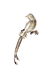 Austrian Crystal Enameled Bird Brooch Pin - 2
