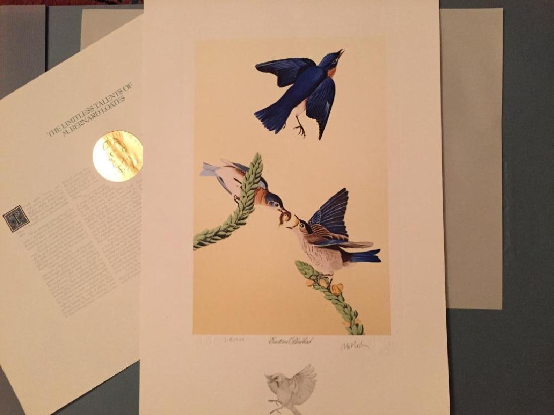 Signed Loates Ltd. Ed. Audubon Bluebird Print: Audubon limited edition # 318 / 1000 lithograph print from "The Birds Of America" series by master lithographer M. Bernard Loates. Eastern Bluebird. Pencil signed & numbered on the bottom by the a