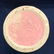 Vintage Pink McCoy Bird Pottery Vase - 4