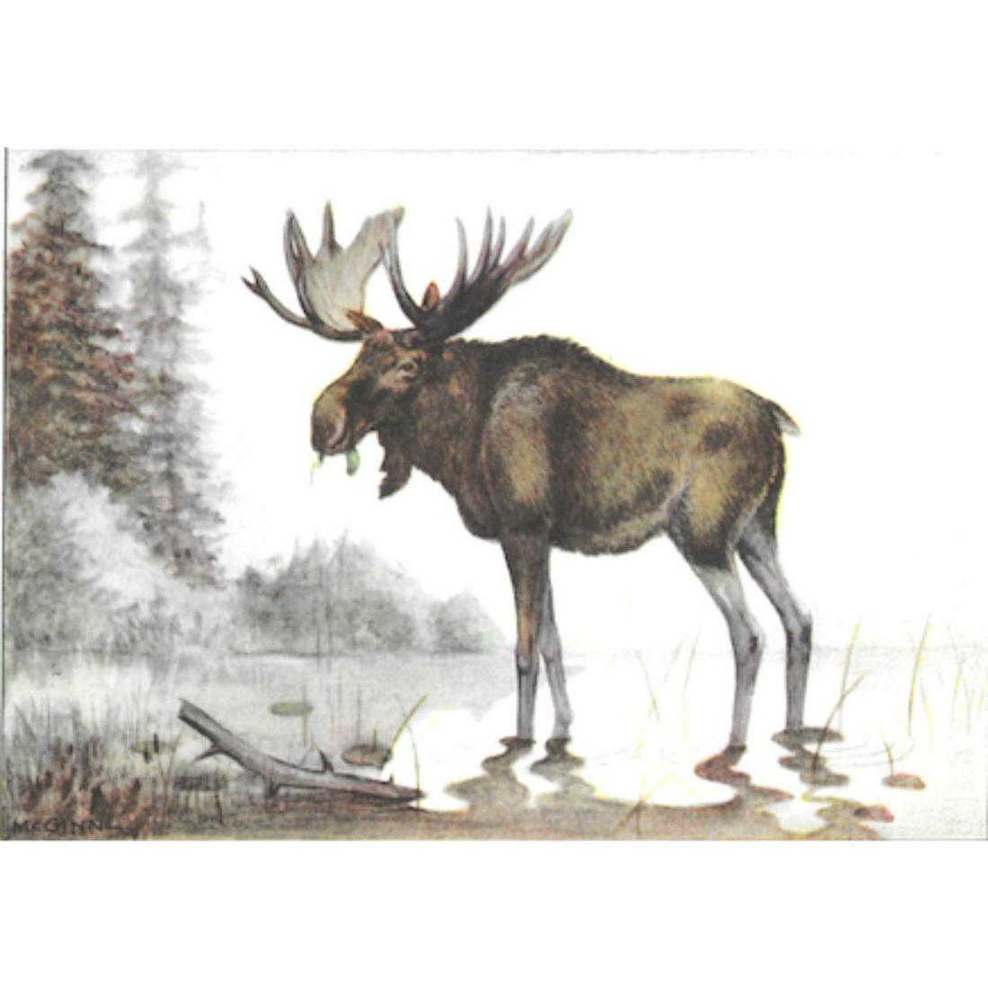1920's Moose, Color Lithograph Print: Moose, color lithograph print, from a 1926 edition of The Nature Library, Animals by Ernest Thompson Seton, artwork by McGinn. 5" X 8".