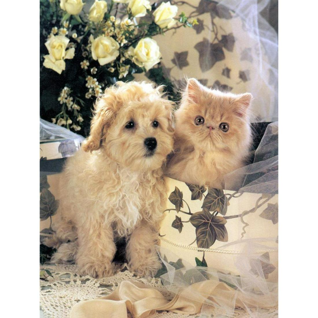 Puppy & Kitten Ceramic Art Tile: Puppy & Kitten new modern ceramic art tile. 6" x 8". Â -10584-051718-EB-52574