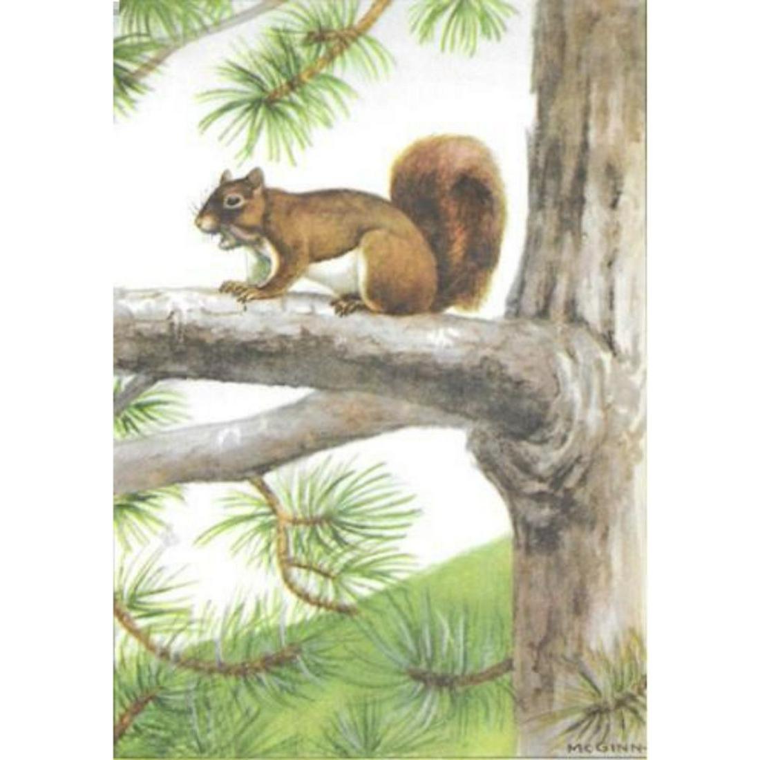 1920's Red Squirrel Color Lithograph Print: Red Squirrel color lithograph print, from a 1926 edition of The Nature Library, Animals by Ernest Thompson Seton, illustrations by McGinn. 5" X 8".