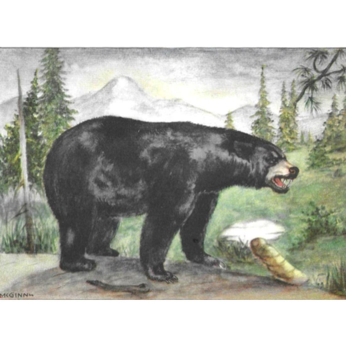 1920's Black Bear Color Lithograph Print: Black Bear color lithograph from a 1926 edition of The Nature Library, Animals, by Ernest Thompson Seton, arranged by Robert M McCurdy for Doubleday, Doran & Company. Original artwork by McGinn.