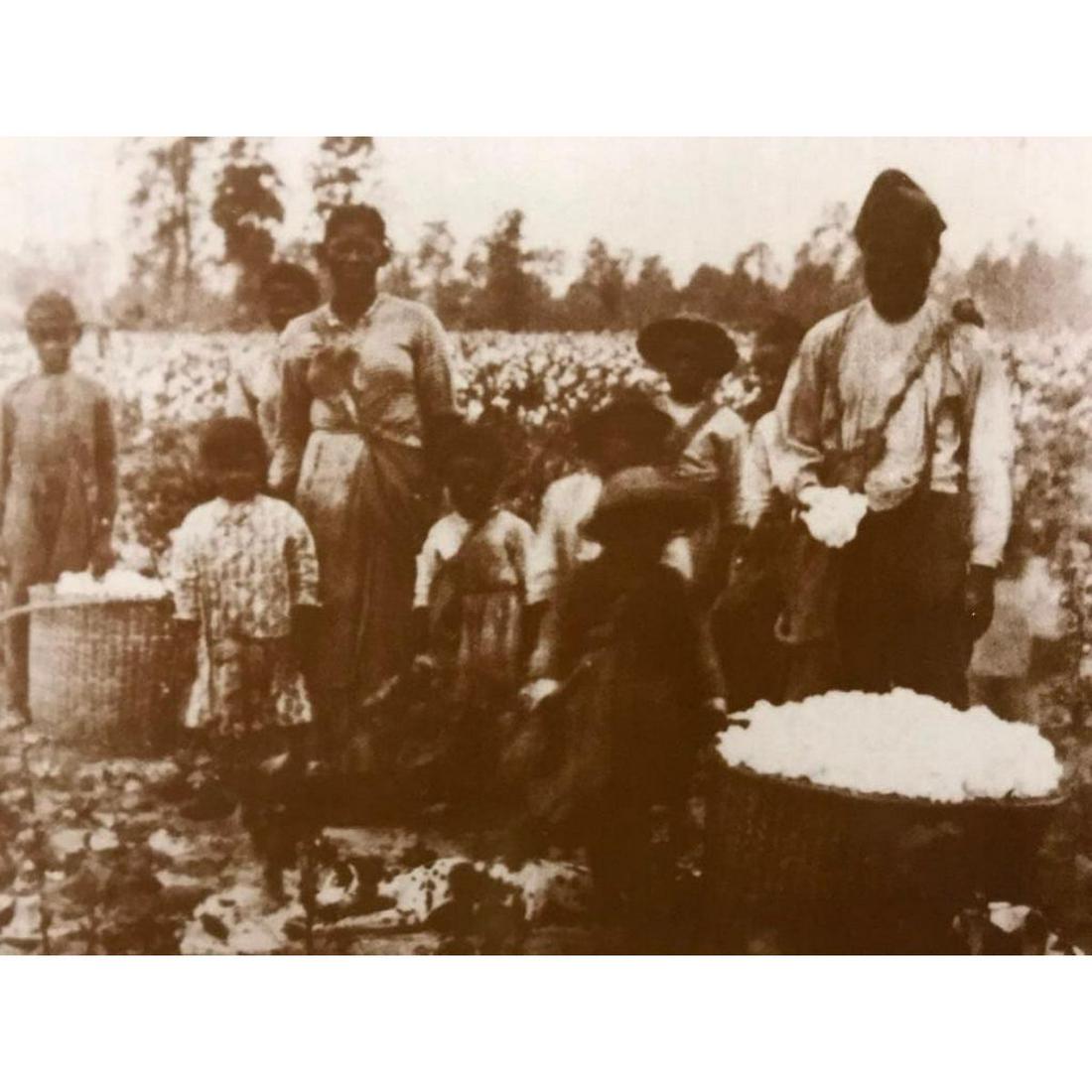 African American History, Slave Family Sepia Tone Photo: African American History, Civil War era Slave Family in Georgia cotton field sepia-tone photo print. Created in the early 1990's for The American Heritage Galleries. Printed on heavy cardstock with do
