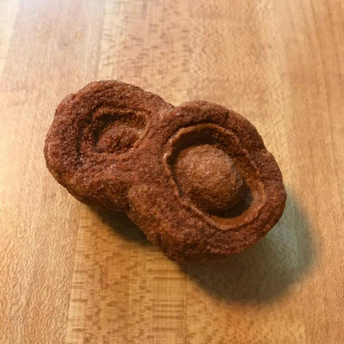 Rare Stromatolite Ancient Earth Formation Specimen: Rare Stromatolite Ancient Earth climate changing formation, bacteria, fossil, specimen. 2 1/8" X 1 1/4". 260.6ct, 52.13 grams weight. Stromatolites are one of the oldest fossils known, some dating to 