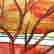 item-104203250=3